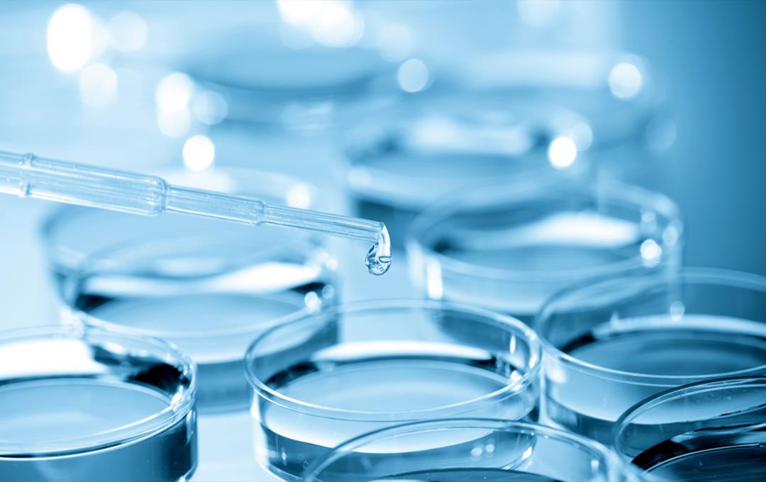 122cc太阳集成游戏