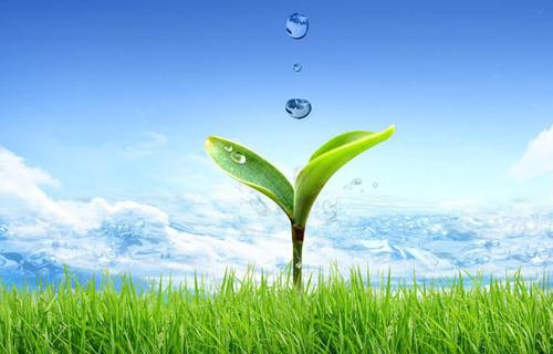 122cc太阳集成游戏