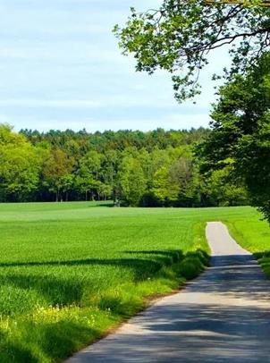 122cc太阳集成游戏(中国)有限公司官网